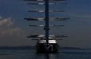 Maltese Falcon